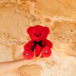 TEDDY BEARS