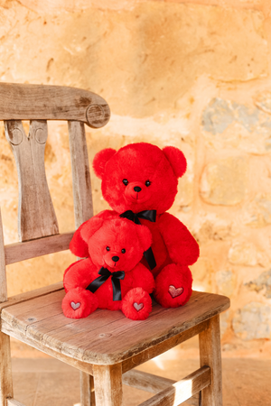 TEDDY BEARS