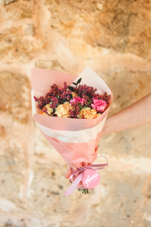 LITTLE FLOWERS - CARNATIONS