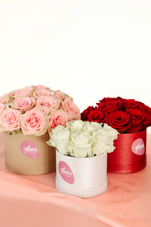 BOX ROSAS