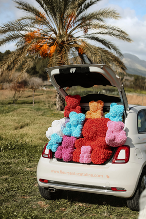 TEDDY BEARS