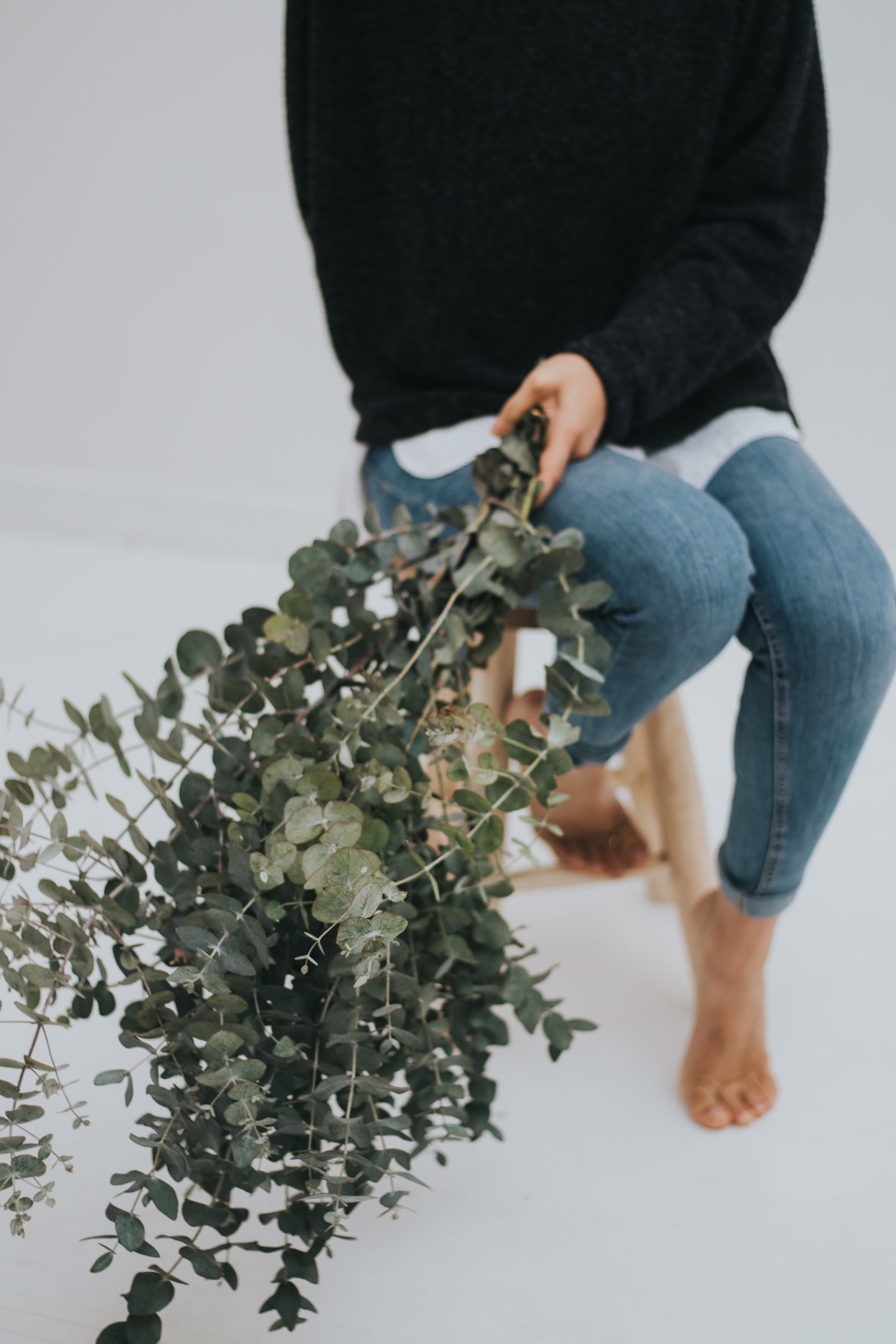 POMO DE EUCALIPTO CINEREA