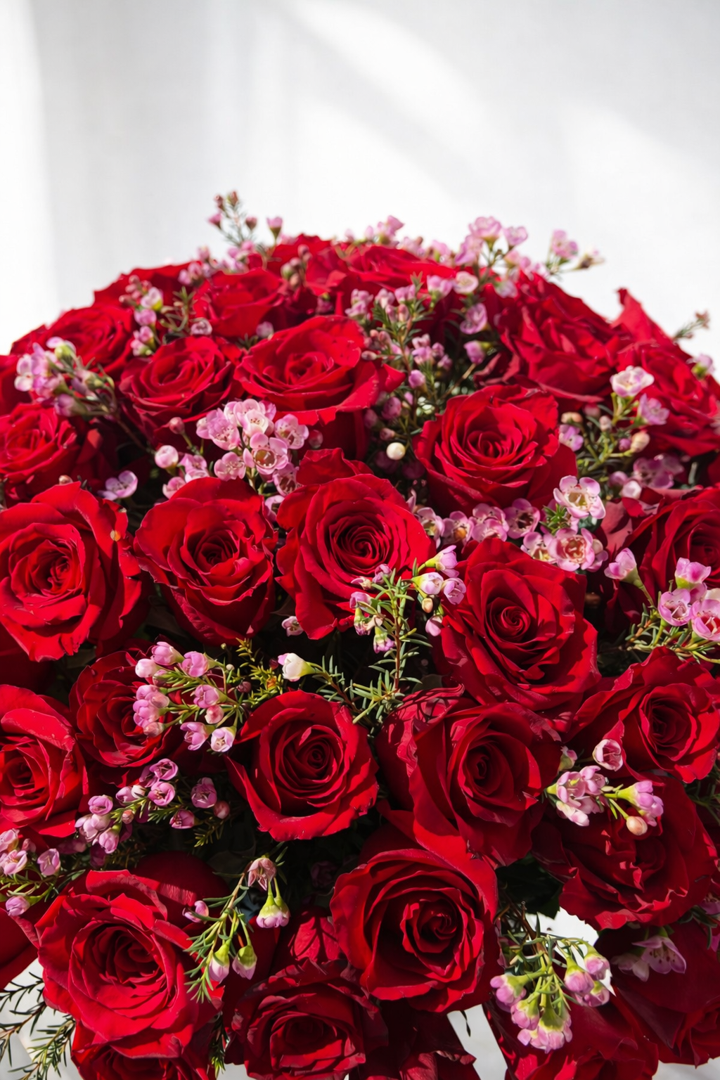 london_box_red_roses_close_up