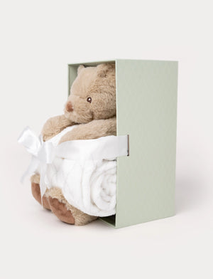 GIFT SET TEDDY BEAR & BLANKET 